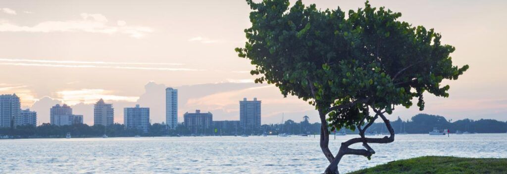 What is the Best Strategy for Selling a House in Naples, FL in 2025?